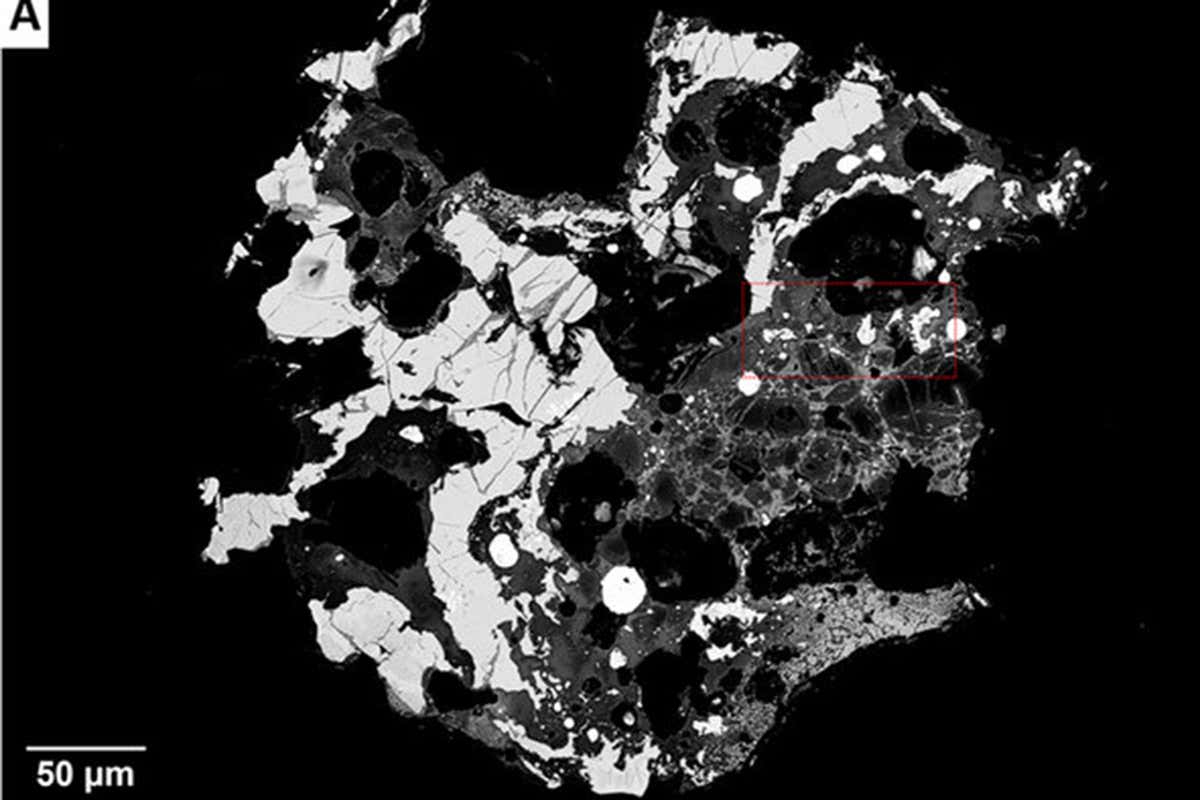 New Scientist. Science news and long reads from expert journalists, covering developments in science, technology, health and the environment on the website and the magazine.