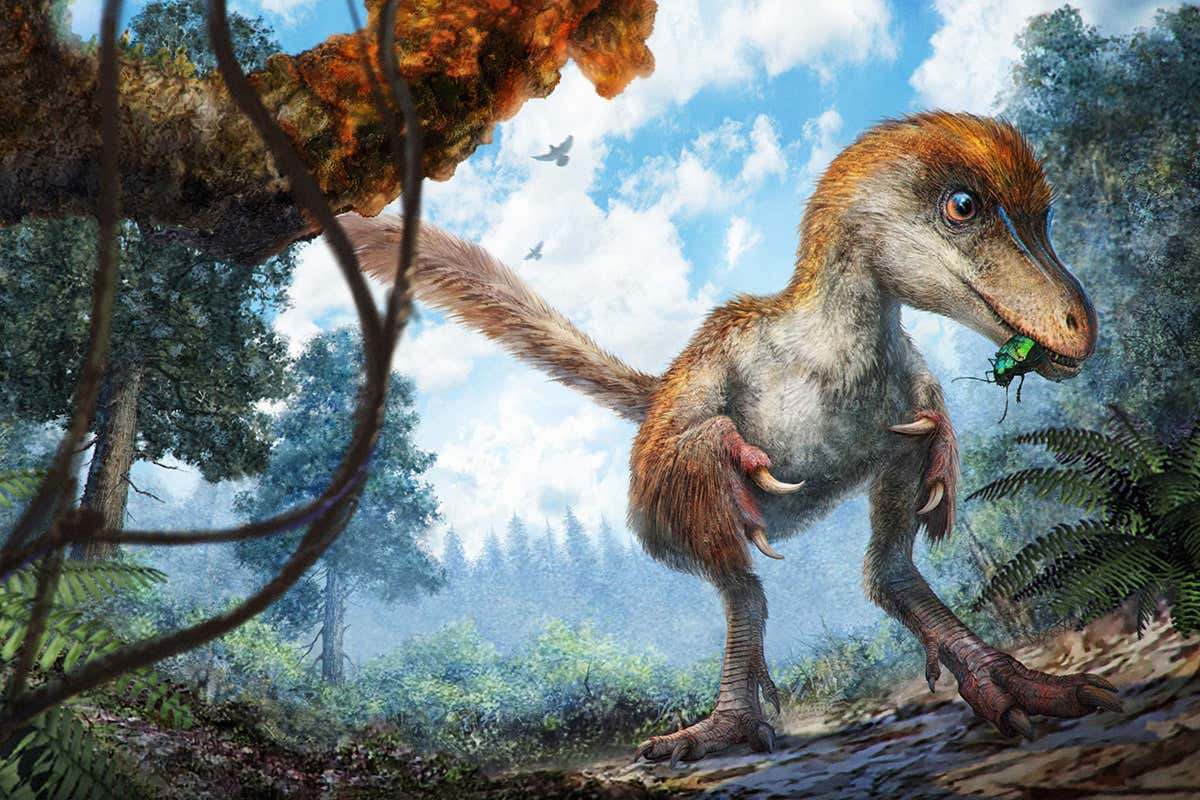 New Scientist. Science news and long reads from expert journalists, covering developments in science, technology, health and the environment on the website and the magazine.