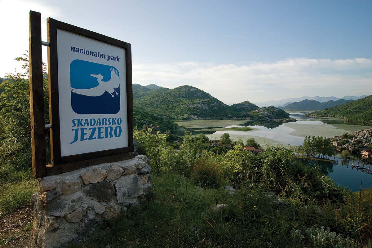A sign with a Dalmatian pelican on it on the shores of Lake Skadar