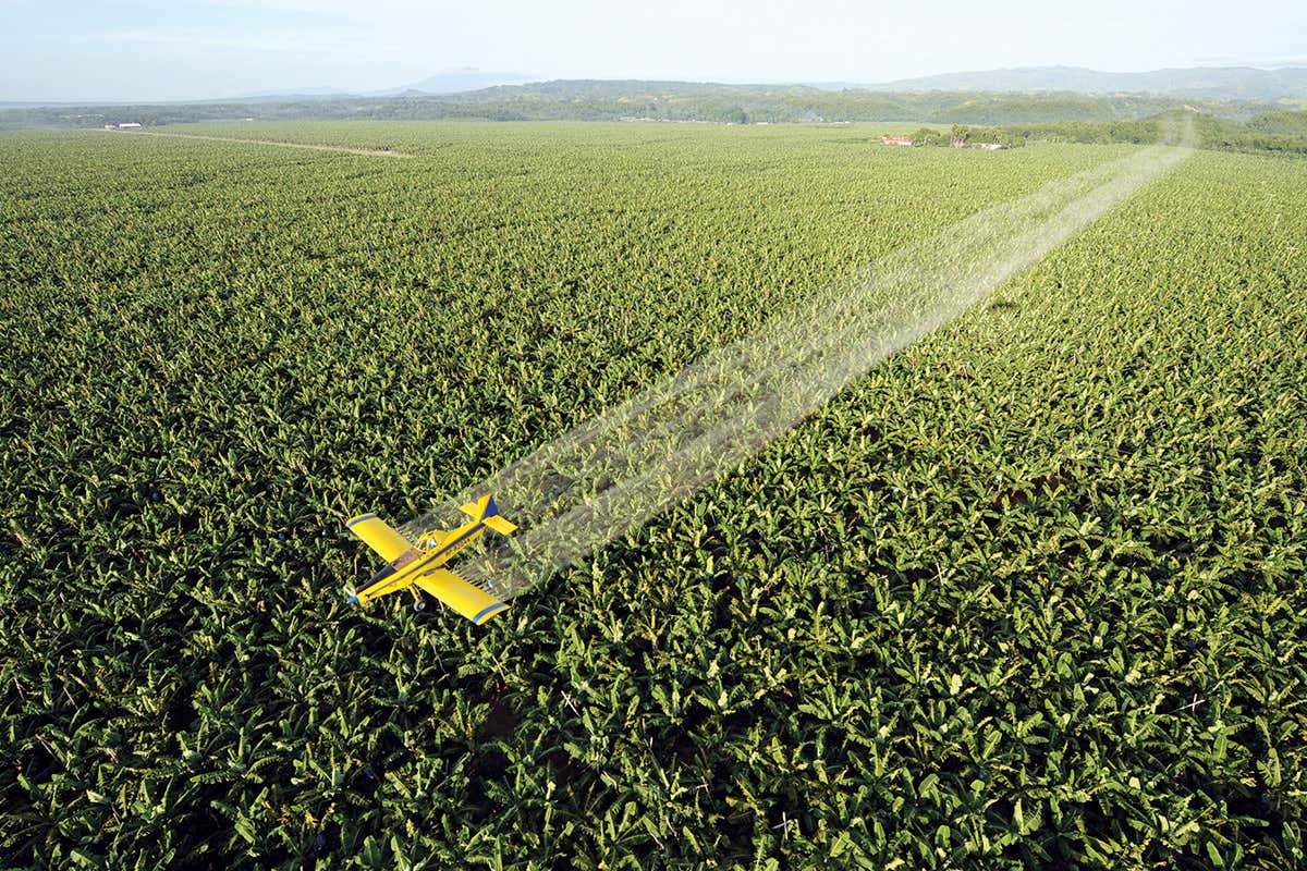 Plane sprays crops