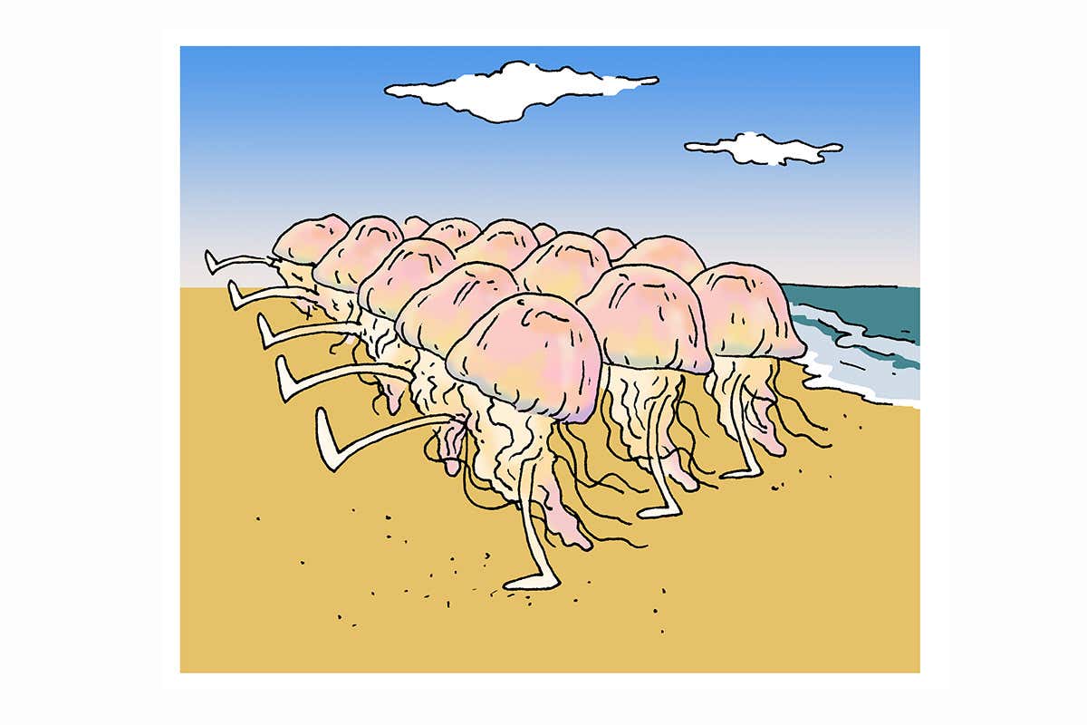 jellyfish cartoon