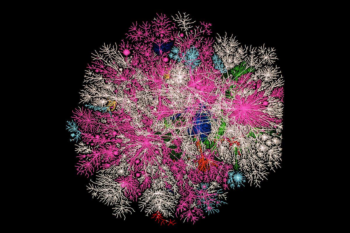 A treelike representation of global internet traffic