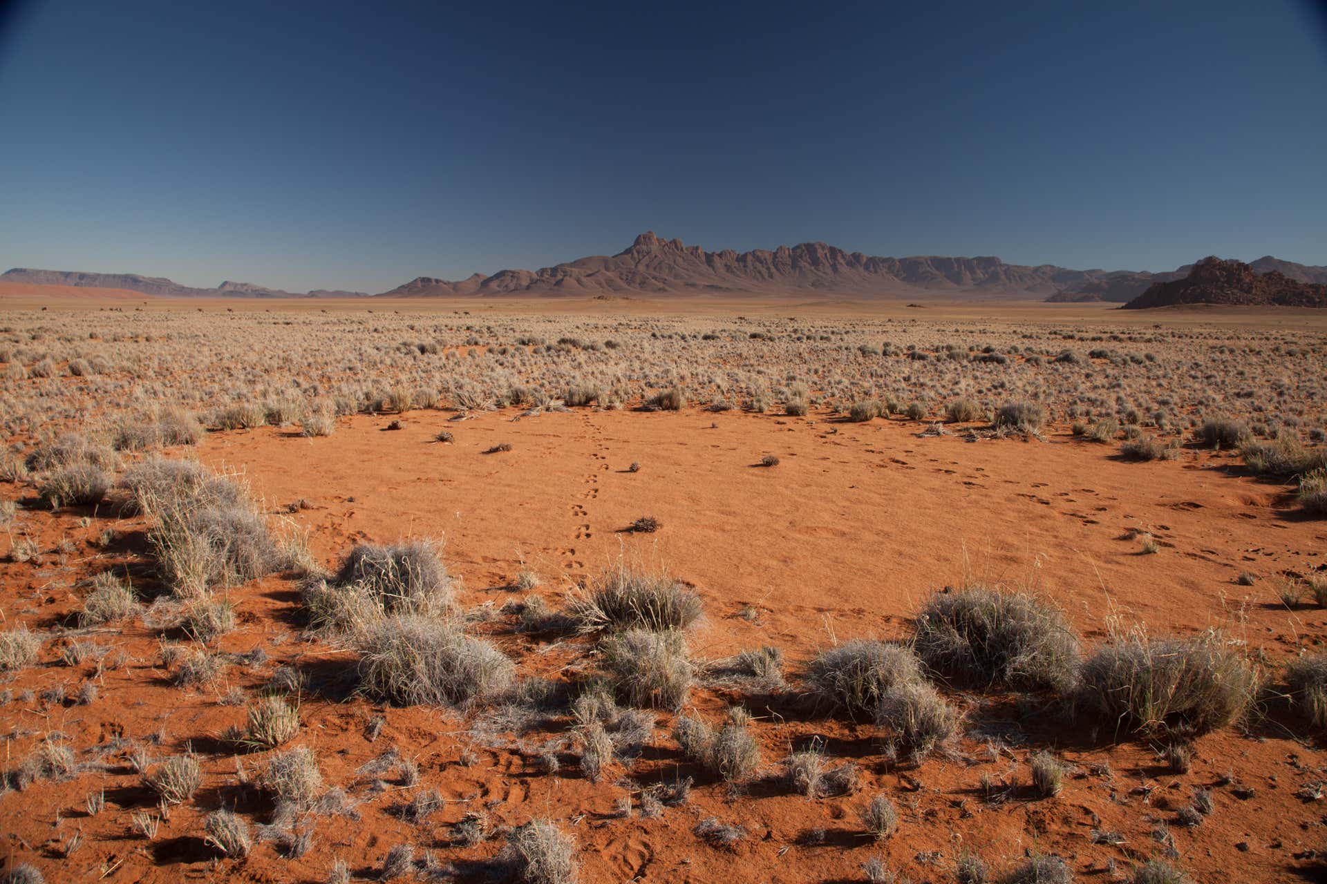 Namibian fairy circle