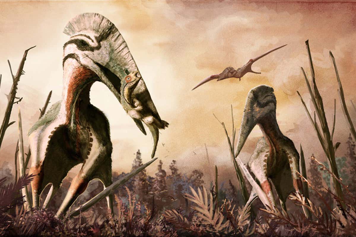 Two dinos on land pursued by winged reptile