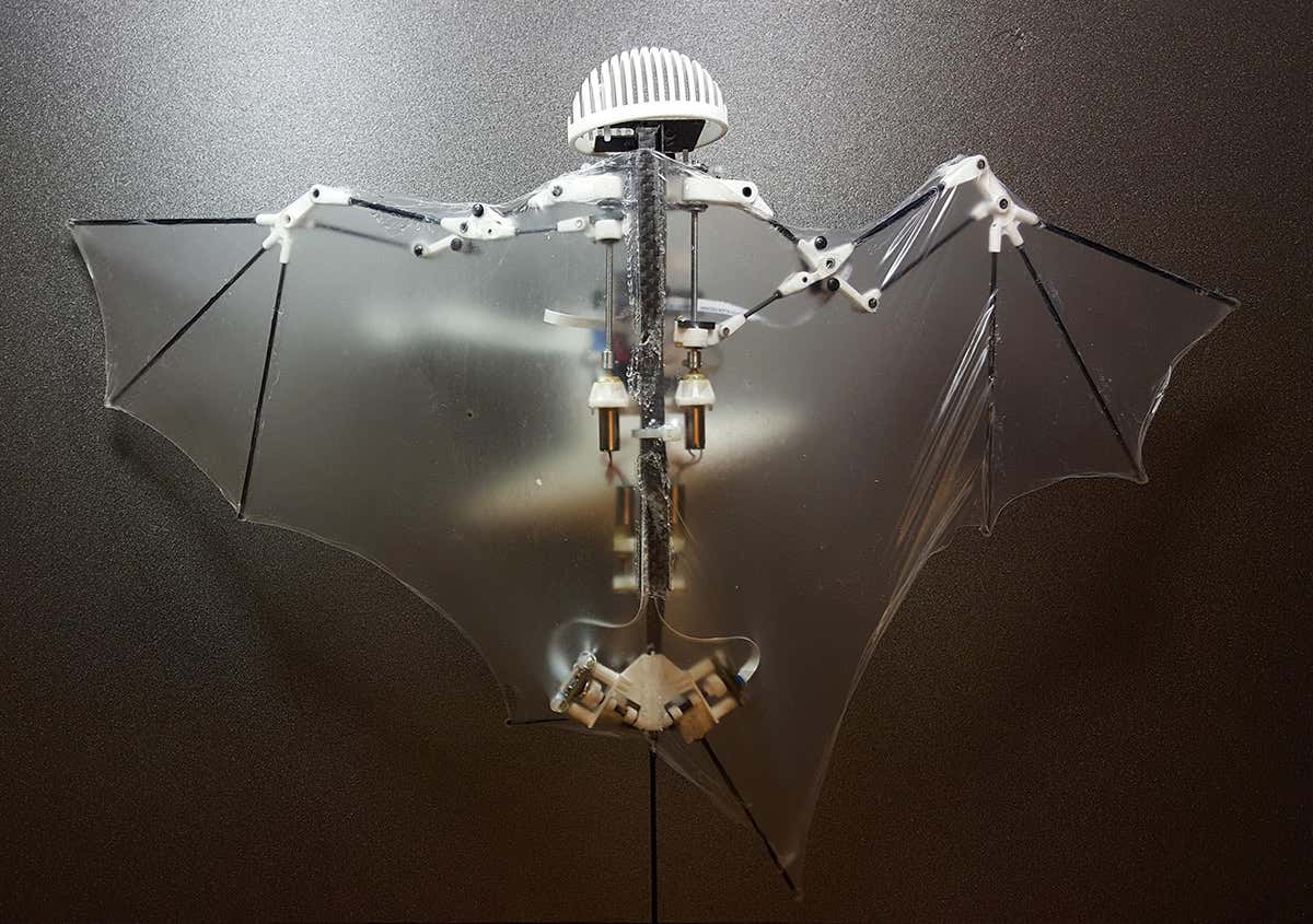 Bat-like robot