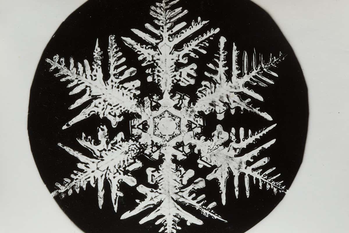snowflake 1