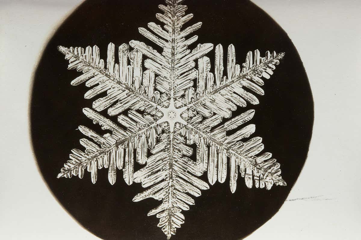 snowflake 3