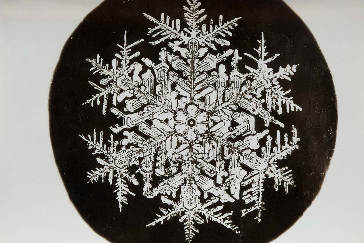 snowflake 4