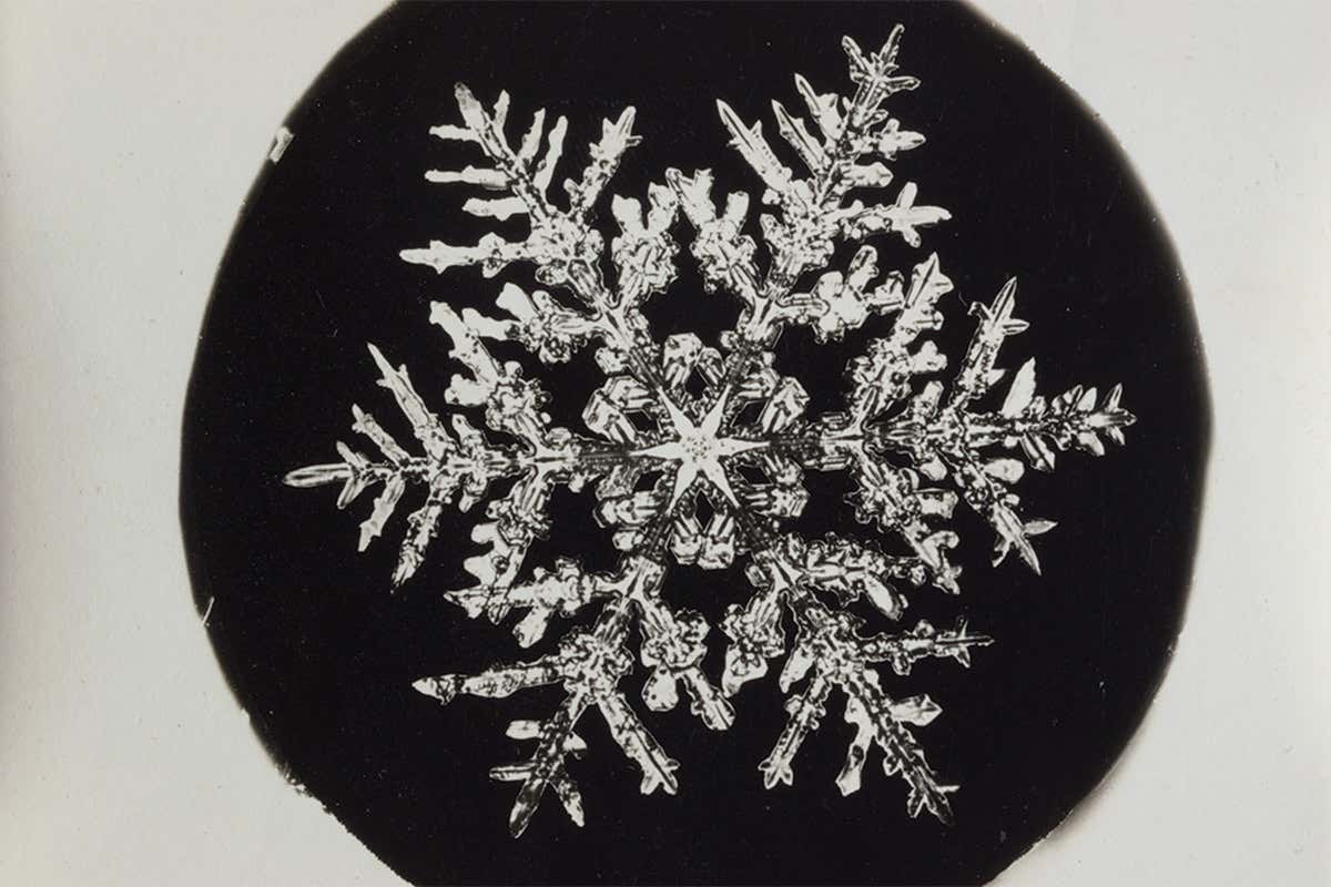 snowflake 5