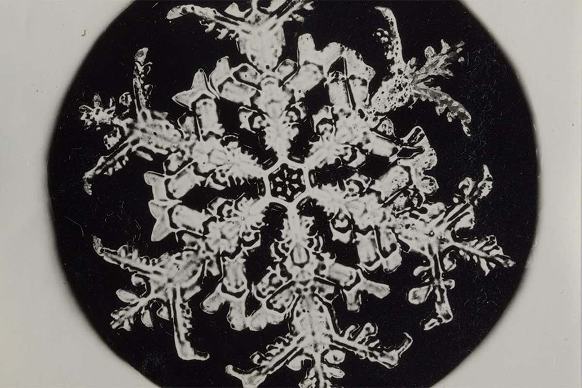 snowflake 6