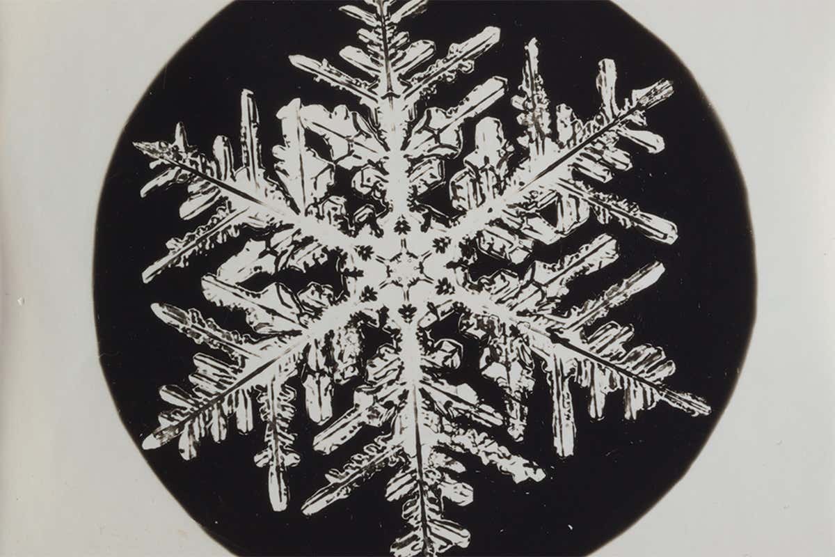 snowflake 7