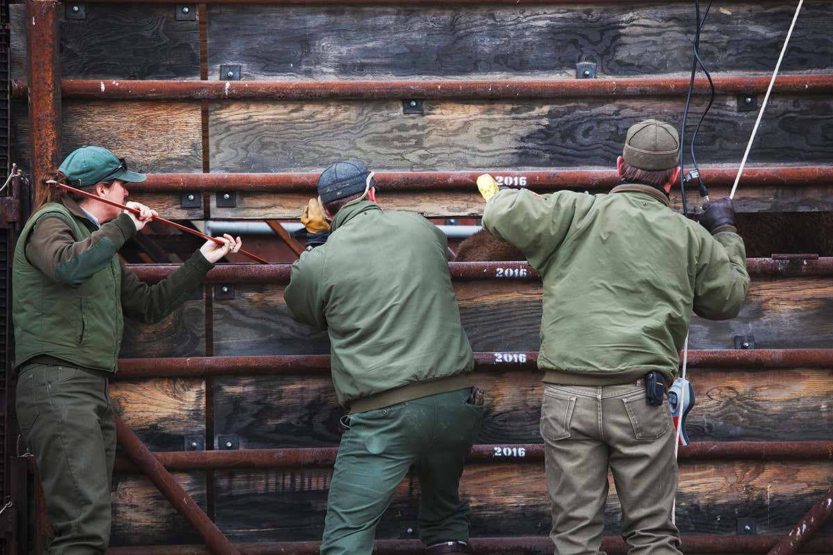 stephens creek facility