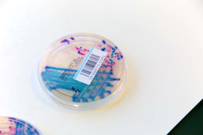 Pregnant and not heard of Group B Strep?