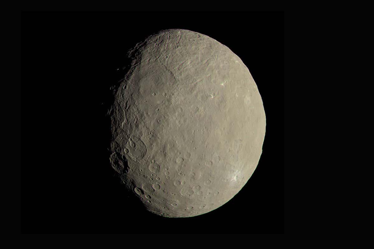 New Scientist. Science news and long reads from expert journalists, covering developments in science, technology, health and the environment on the website and the magazine.