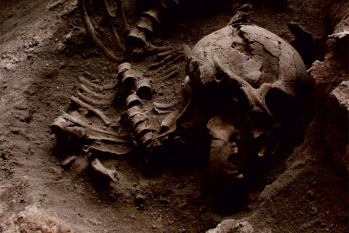 Skull and other remains at Brazilian burial site