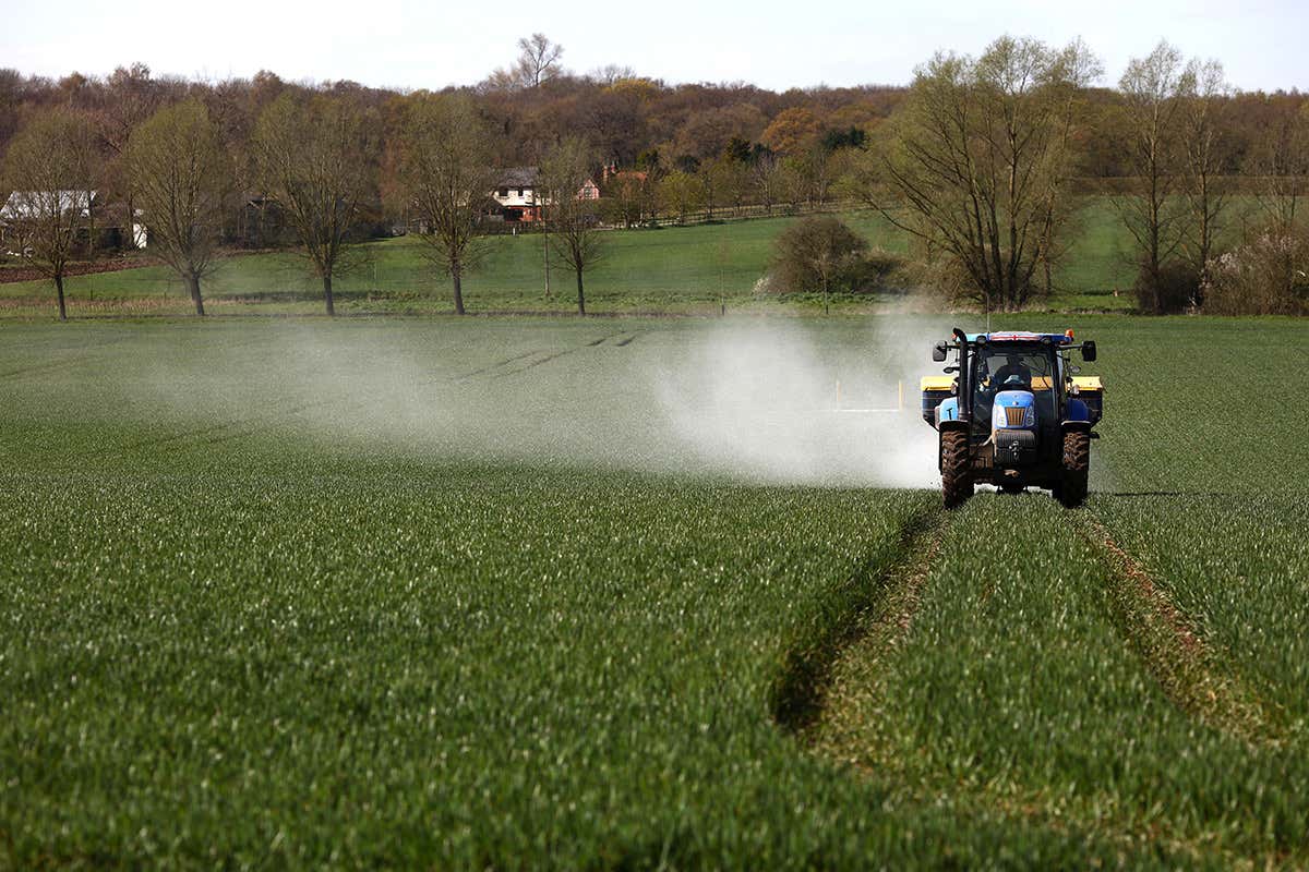 Spraying fertiliser on wheat