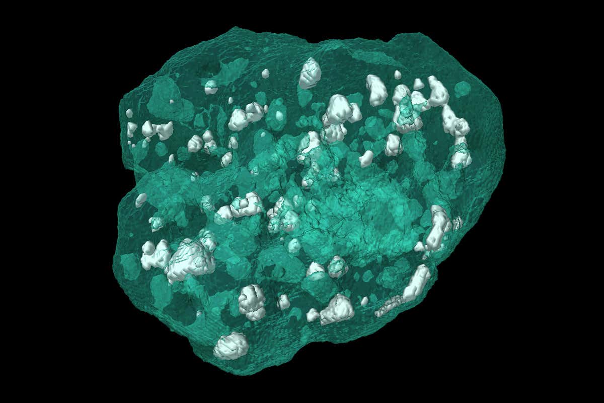 New Scientist. Science news and long reads from expert journalists, covering developments in science, technology, health and the environment on the website and the magazine.