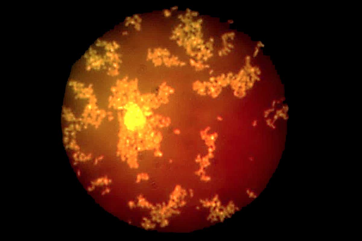 New Scientist. Science news and long reads from expert journalists, covering developments in science, technology, health and the environment on the website and the magazine.