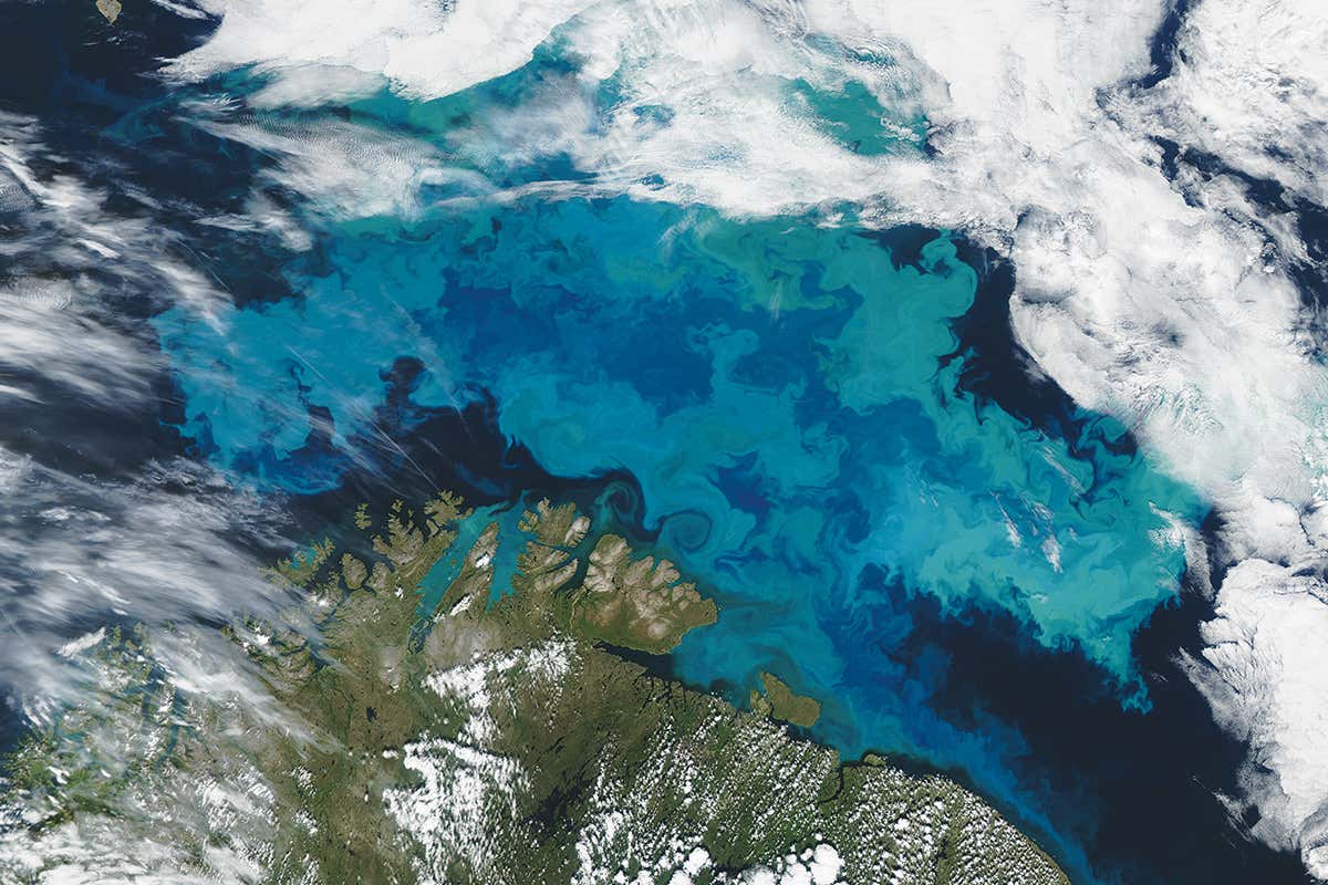 NASA image of planet