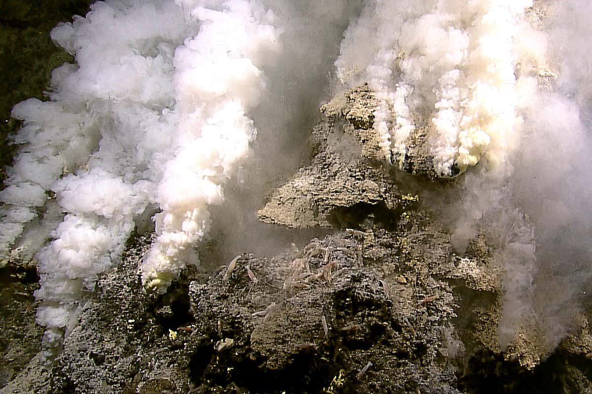 New Scientist. Science news and long reads from expert journalists, covering developments in science, technology, health and the environment on the website and the magazine.