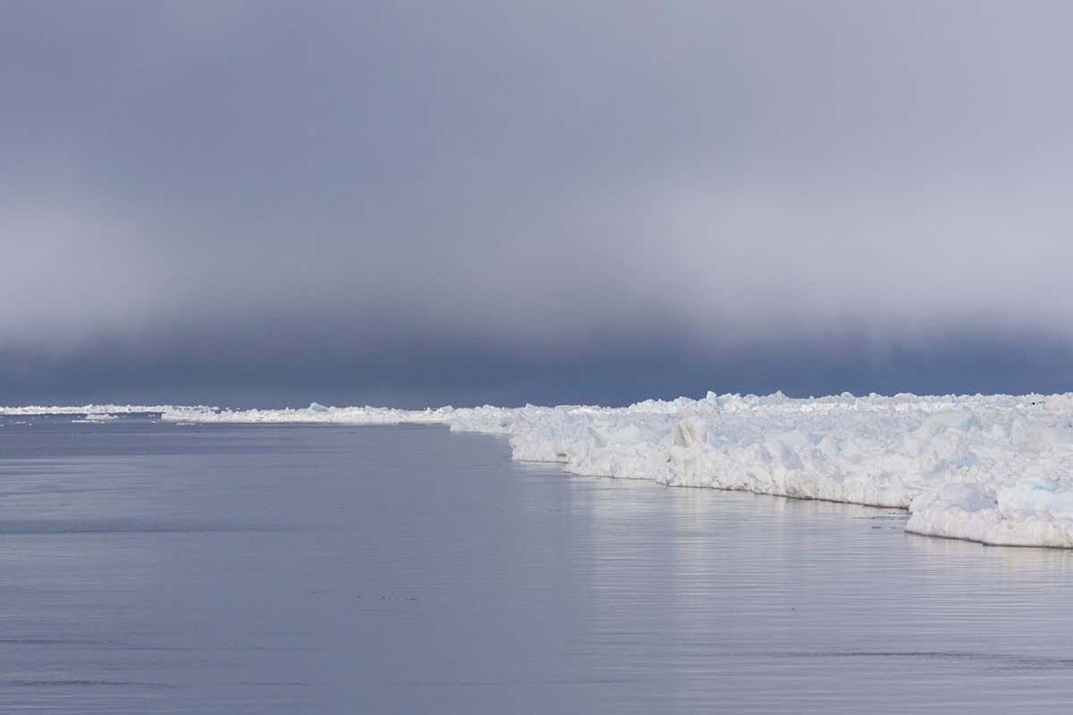Artic landscape with sea ice