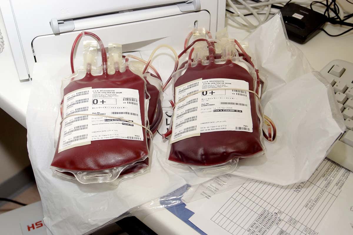 Bags of donor blood for transfusions