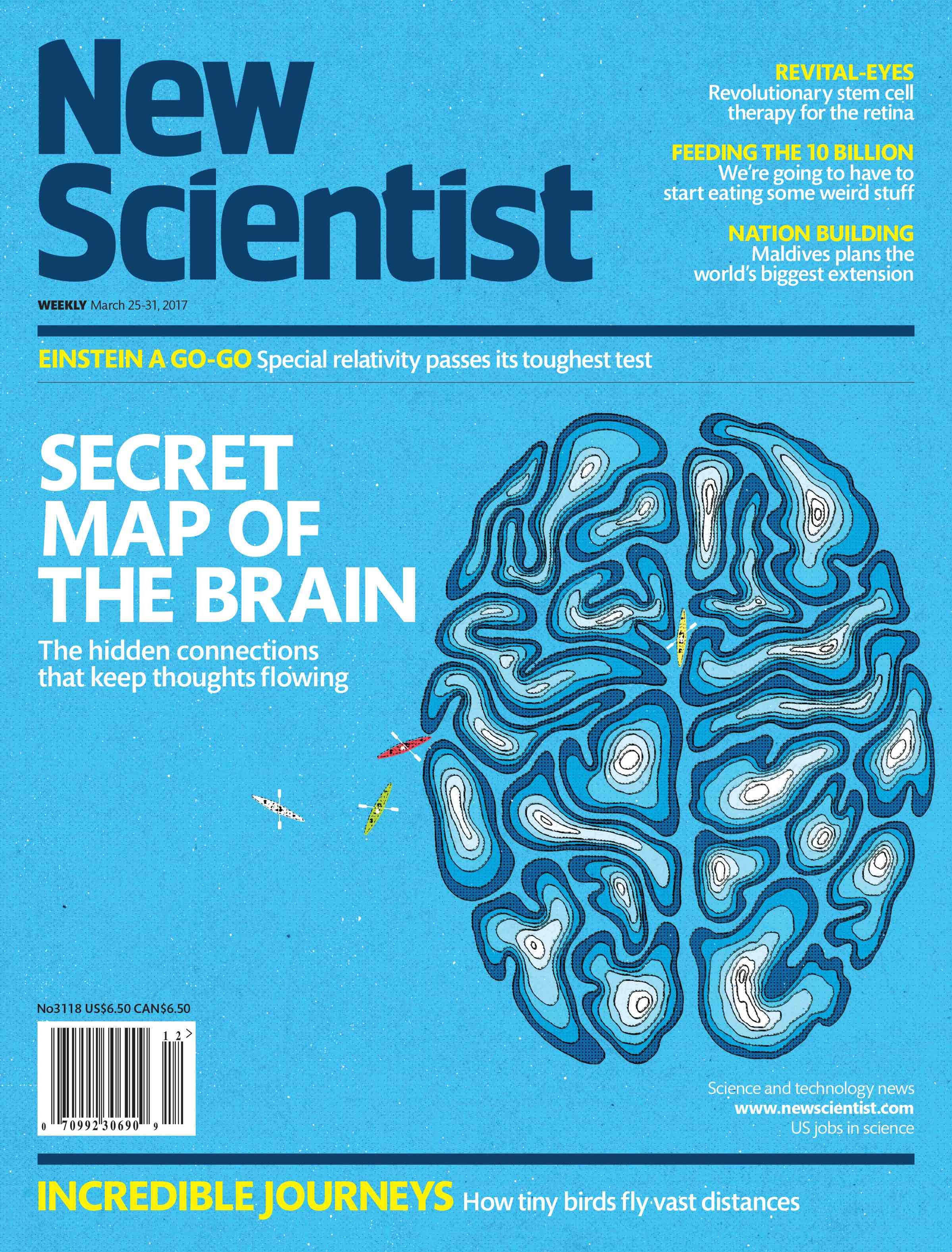 New Scientist issue 3118 cover
