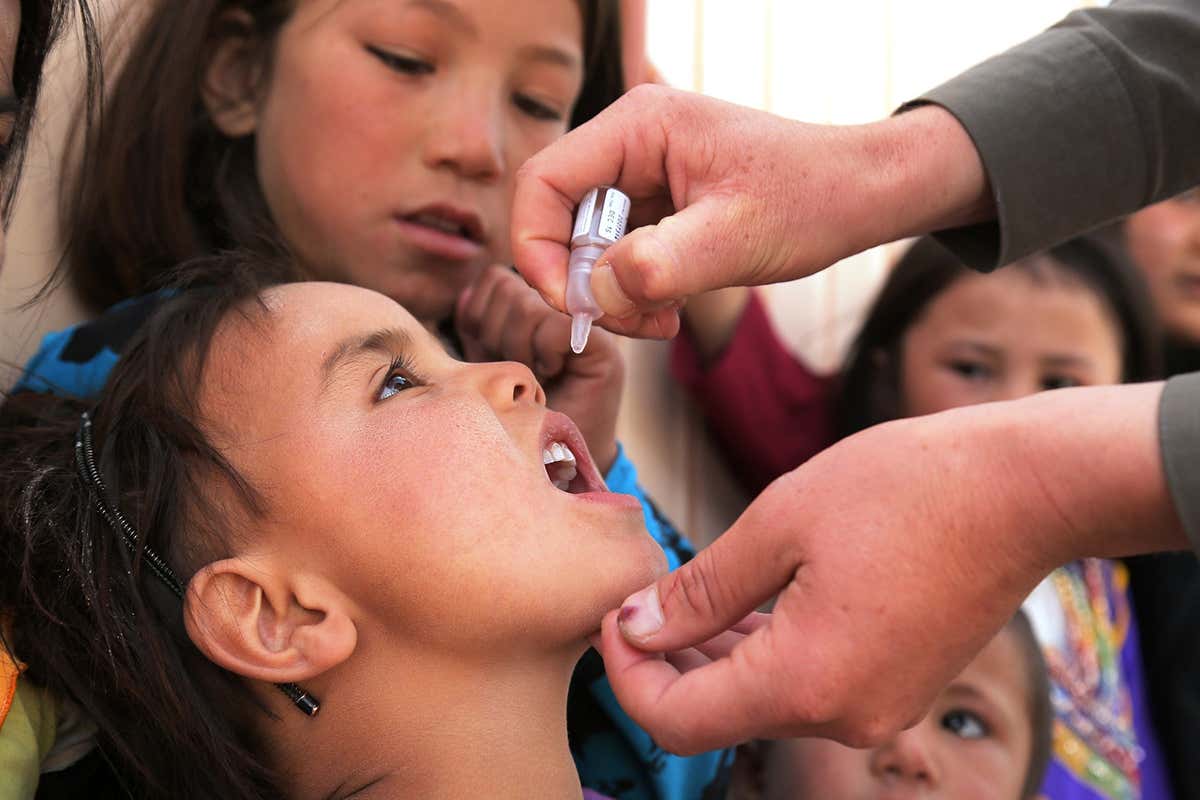 An Afghan child receives a polio vaccine during a vaccination campaign in Ghazni city