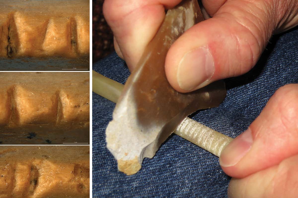 Person cutting notches into bone with close-up of notched Neanderthal version on the left