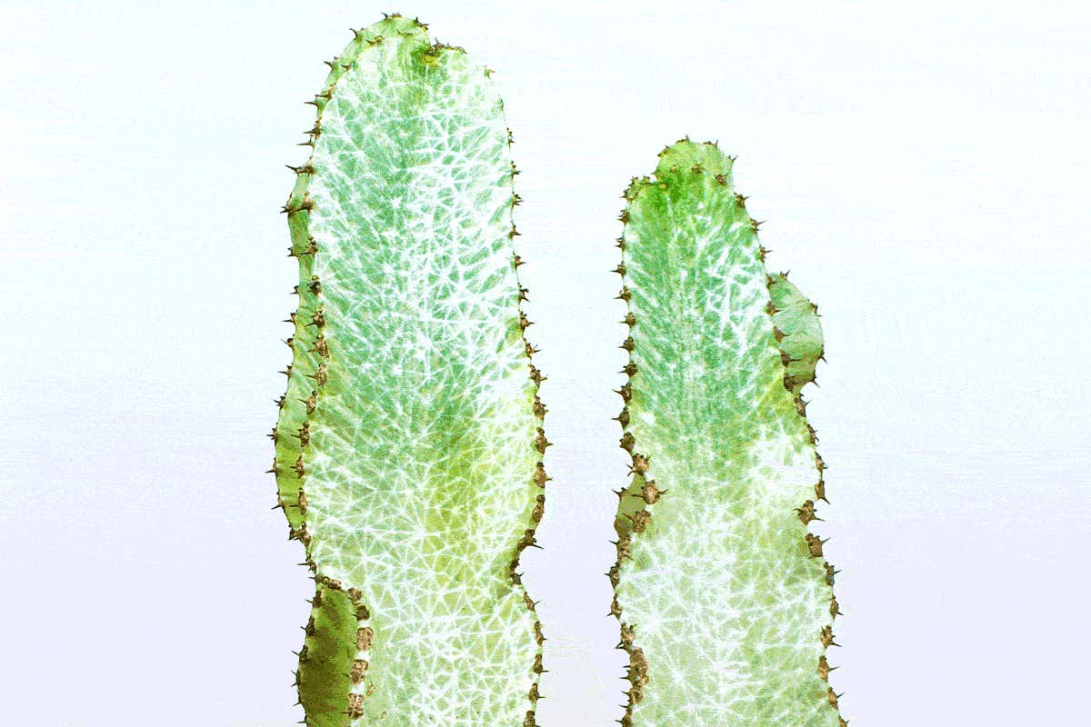 Video projector creates augmented reality with no bulky headset