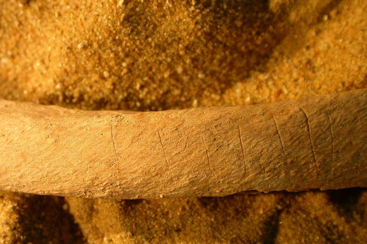 New Scientist. Science news and long reads from expert journalists, covering developments in science, technology, health and the environment on the website and the magazine.