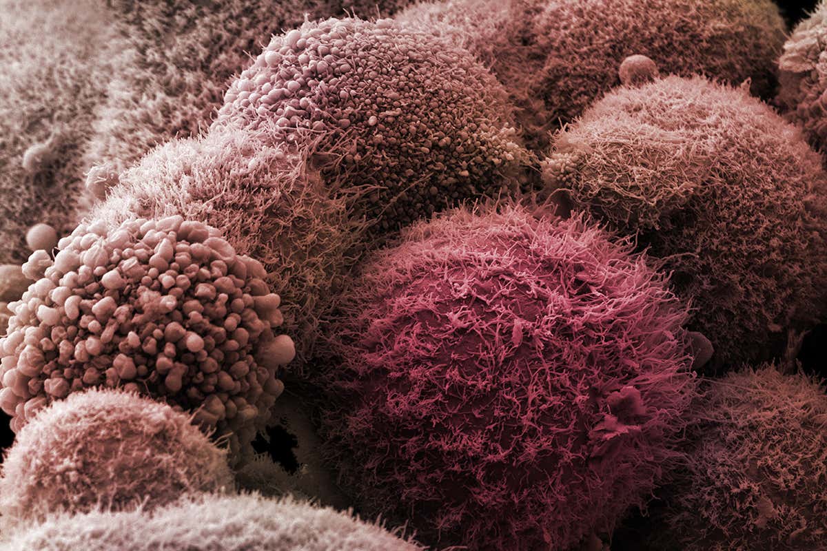 New Scientist. Science news and long reads from expert journalists, covering developments in science, technology, health and the environment on the website and the magazine.