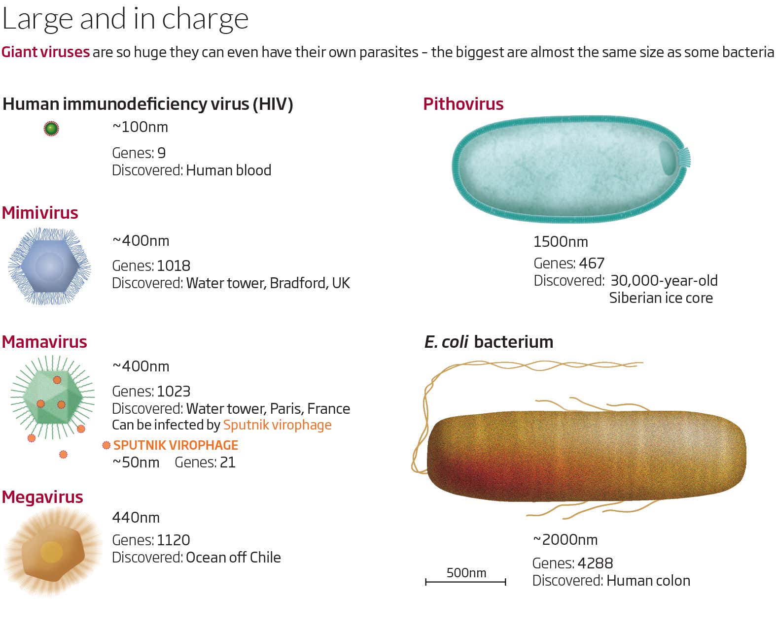New Scientist. Science news and long reads from expert journalists, covering developments in science, technology, health and the environment on the website and the magazine.