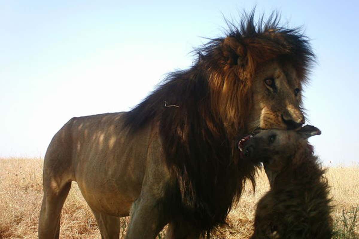 New Scientist. Science news and long reads from expert journalists, covering developments in science, technology, health and the environment on the website and the magazine.