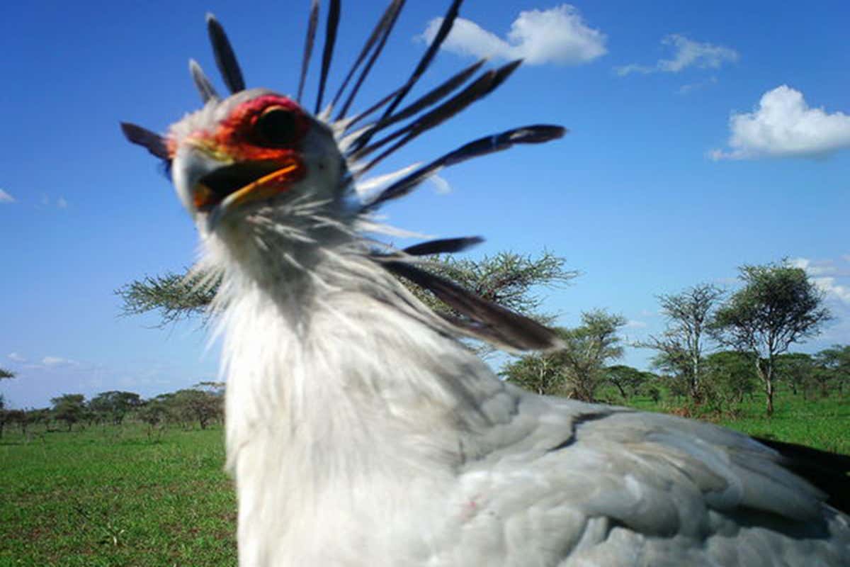 New Scientist. Science news and long reads from expert journalists, covering developments in science, technology, health and the environment on the website and the magazine.