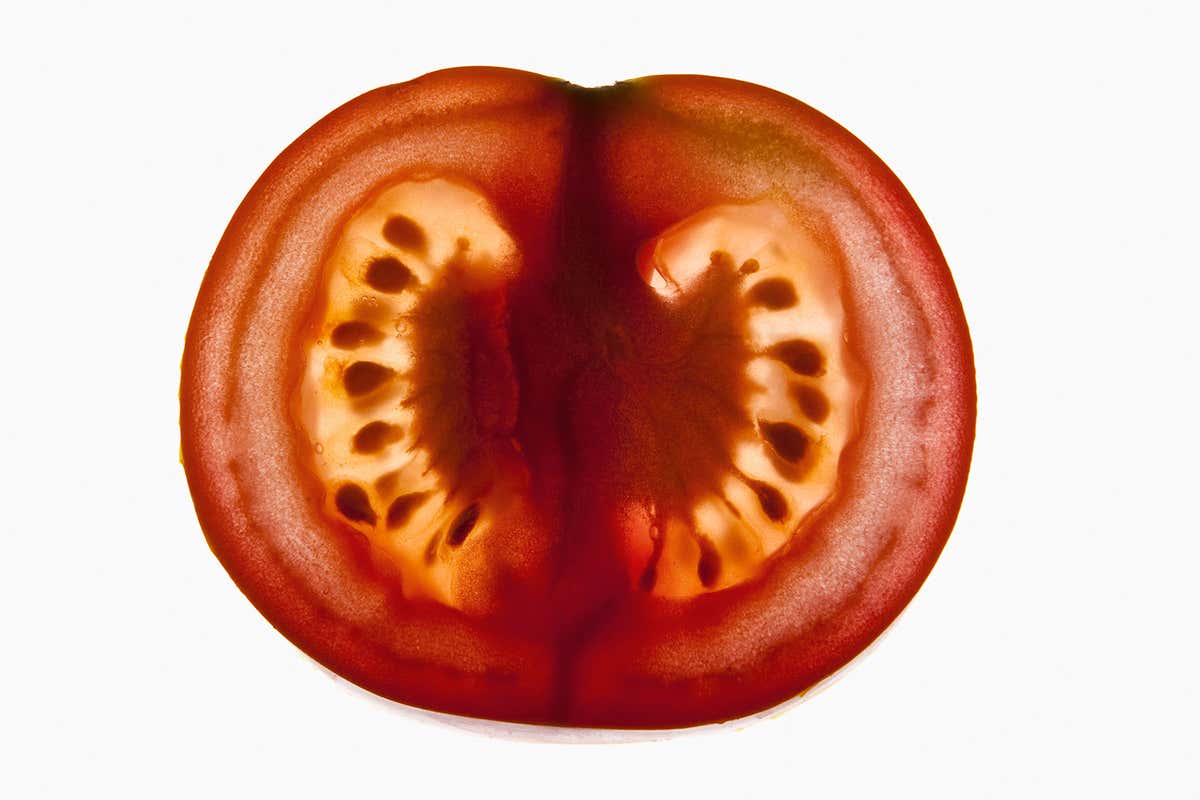 New Scientist. Science news and long reads from expert journalists, covering developments in science, technology, health and the environment on the website and the magazine.