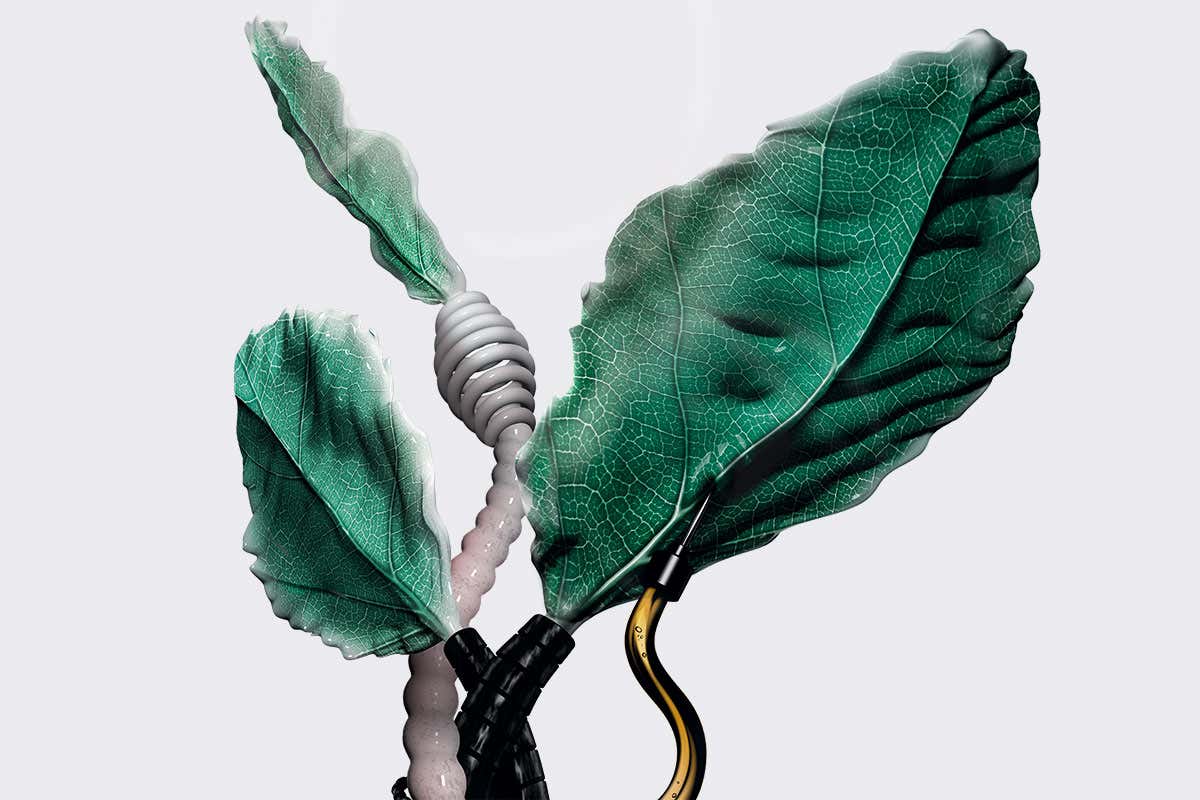 cyborg leaf