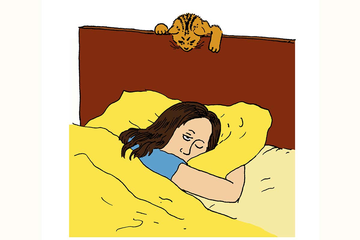 sleep cartoon