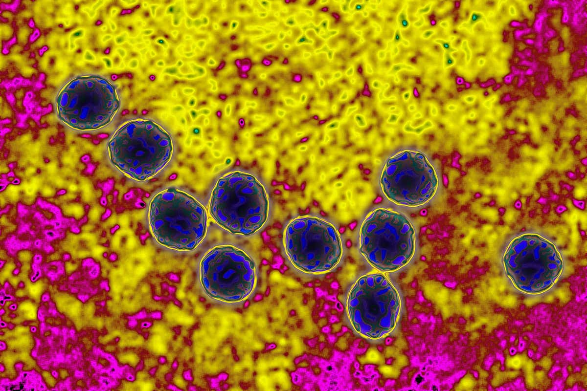 New Scientist. Science news and long reads from expert journalists, covering developments in science, technology, health and the environment on the website and the magazine.