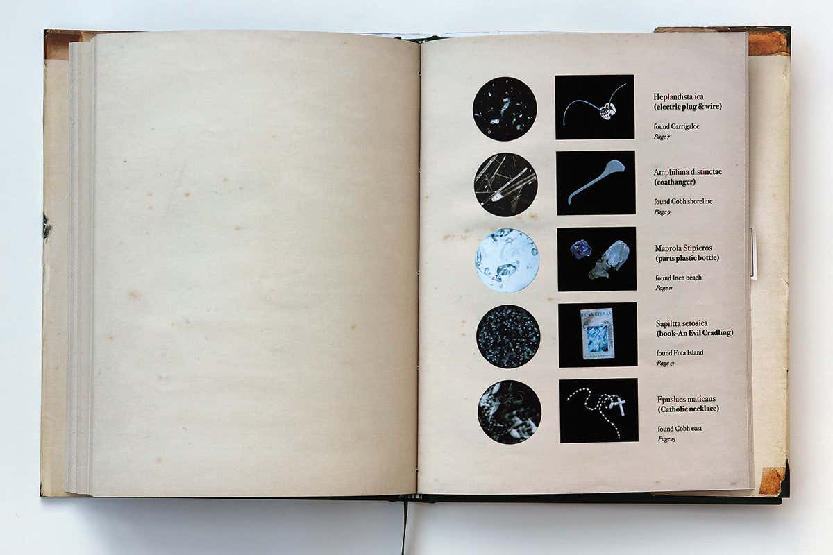 New Scientist. Science news and long reads from expert journalists, covering developments in science, technology, health and the environment on the website and the magazine.