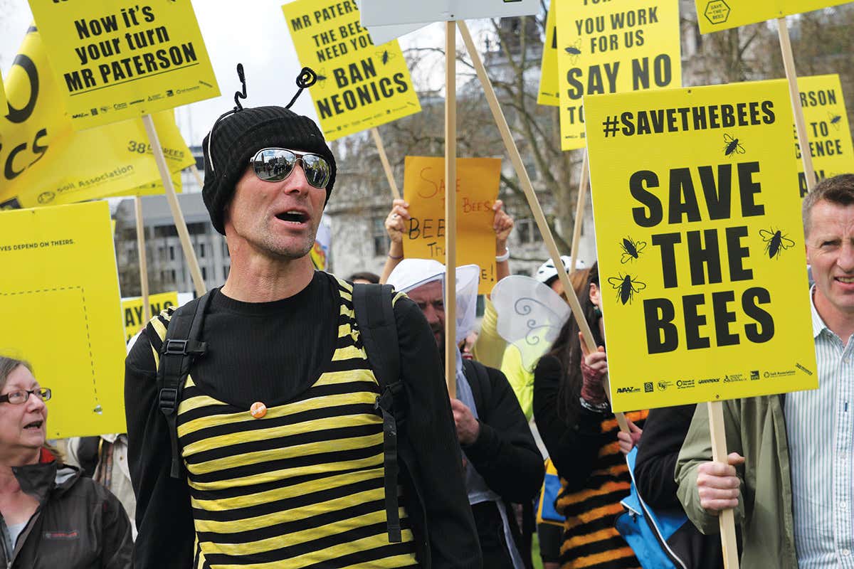 neonicotinoid protest