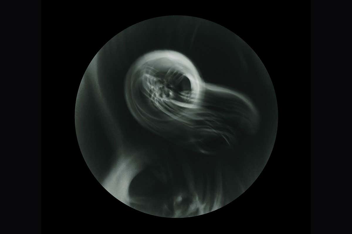 New Scientist. Science news and long reads from expert journalists, covering developments in science, technology, health and the environment on the website and the magazine.