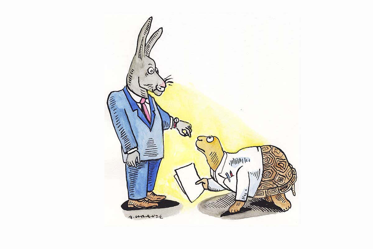 hare and tortoise cartoon