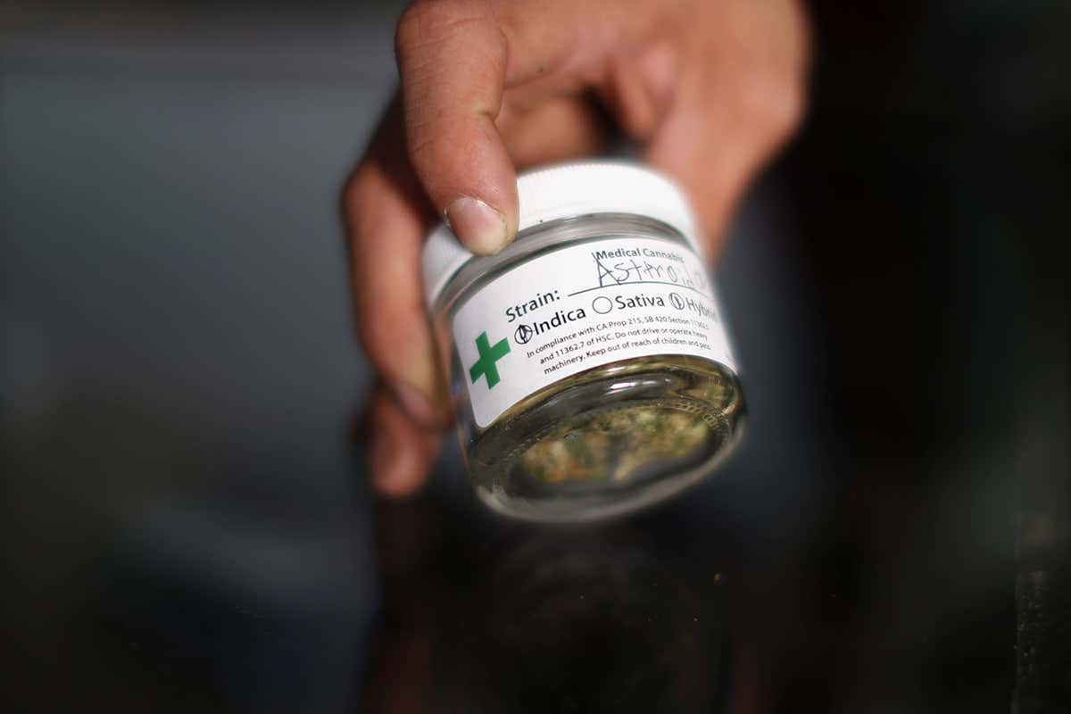 A pot containing medical marijuana