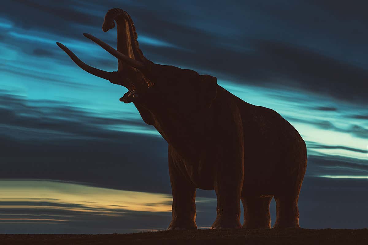 Illustration of a mastodon