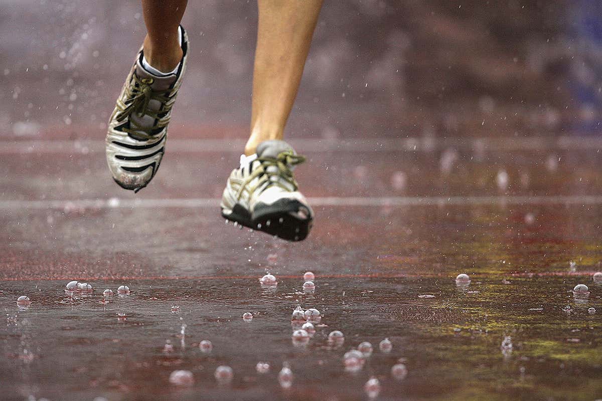 New Scientist. Science news and long reads from expert journalists, covering developments in science, technology, health and the environment on the website and the magazine.