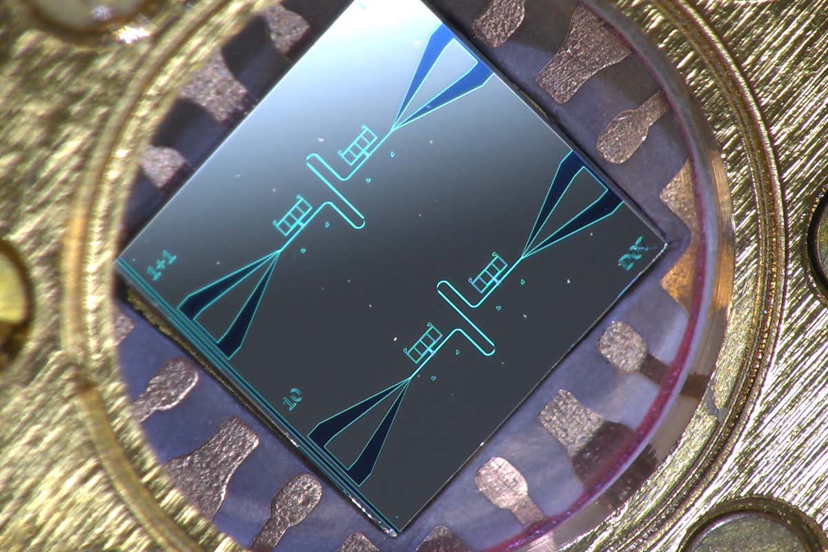 Centimeter-sized silicon chip, which has two parallel superconducting oscillators and the quantum-circuit refrigerators connected to them