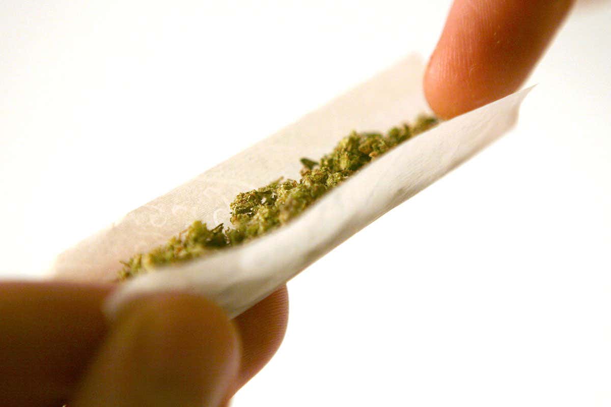 Fingers rolling a marijuana joint