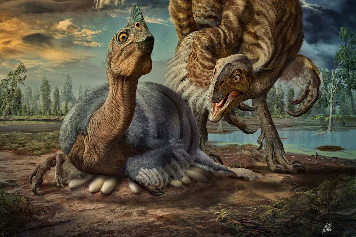 Artist's impression of the large bird-like dinosaur