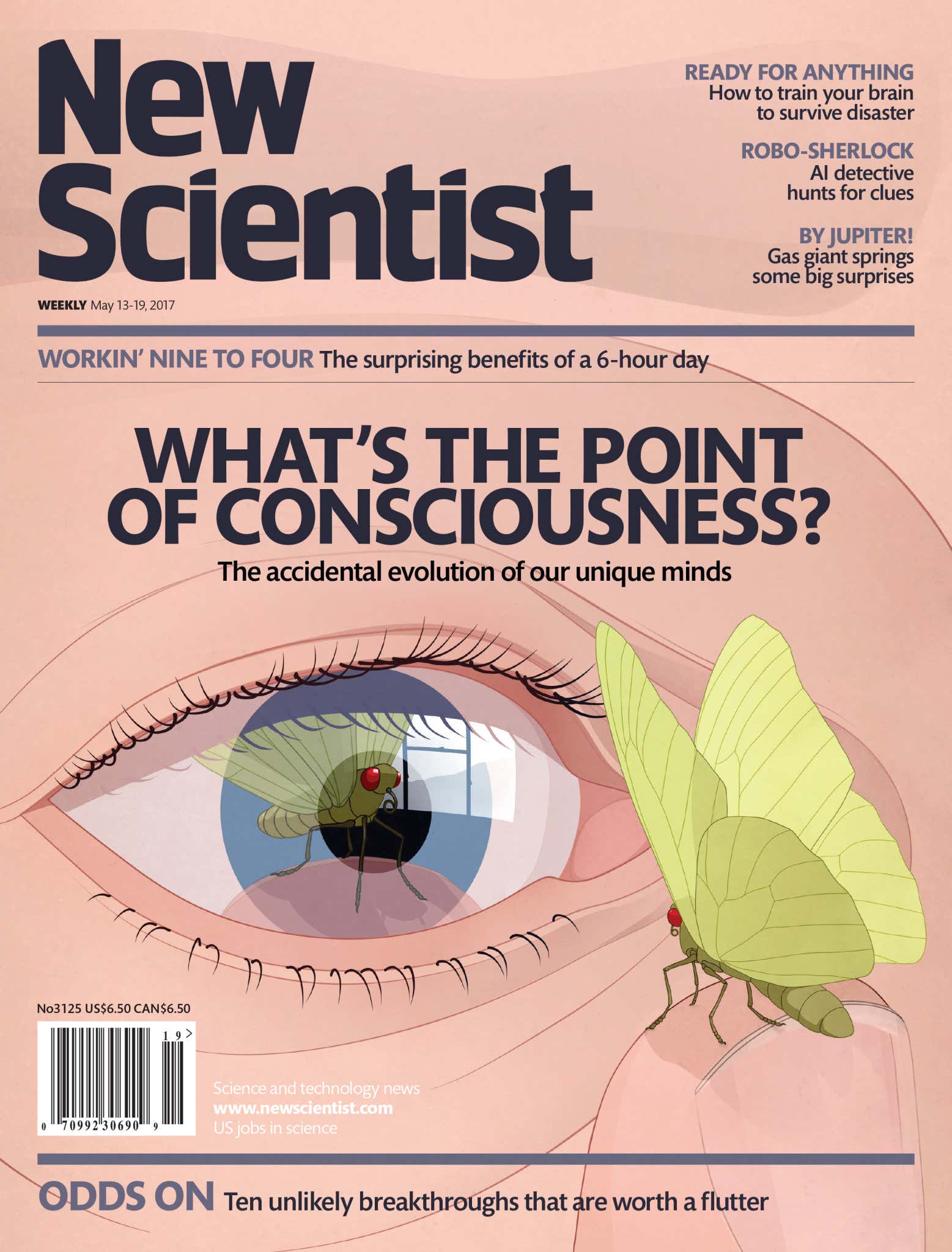 New Scientist issue 3125 cover